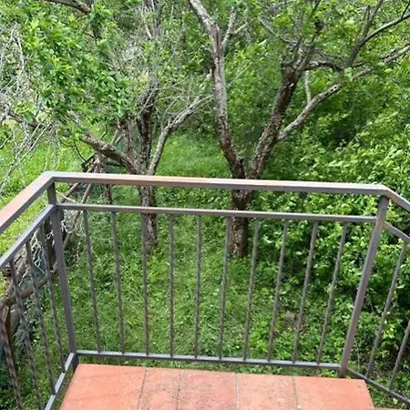 Monte Amiata Salaiola